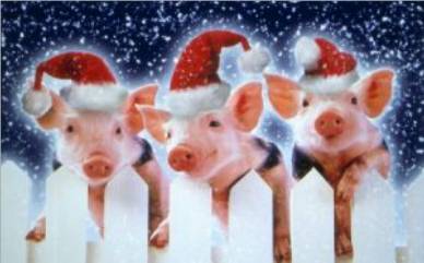 Christmas Piggies